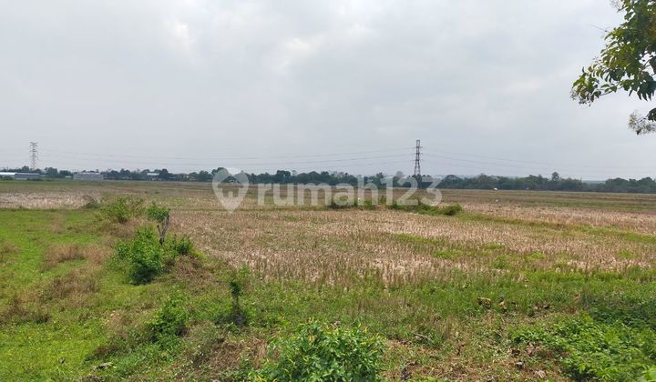 Tanah Raya Suramadu Cocok Utk Pabrik, Gudang Dll