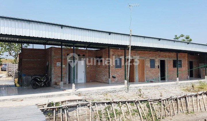 Tambak Udang di Porong Siap Pakai Komplit Beserta Fasilitas Peralatan dan Bangunan Tambak Udang di Porong Siap Pakai Komplit Beserta Fasilitas Peralatan dan Bangunan