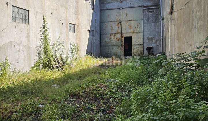 Rarely Available, Ready-to-Use Warehouse in North Surabaya, Next to Perak Toll Road Rarely Available, Ready-to-Use Warehouse in North Surabaya, Next to Perak Toll Road