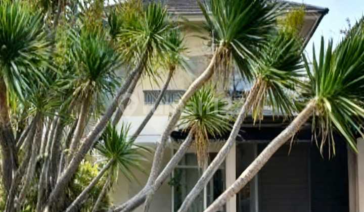 Rumah Malibu Beach, Palm Beach, Pakuwon City Minimalis Murah Langka Furnish 1