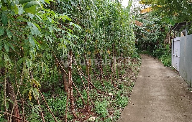 Dijual Tanah cocok untuk Cluster Perumahan di Mustikajaya  4