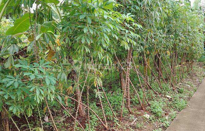 Dijual Tanah cocok untuk Cluster Perumahan di Mustikajaya  5