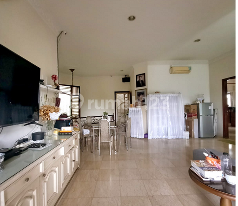 Flood Free Flood Free