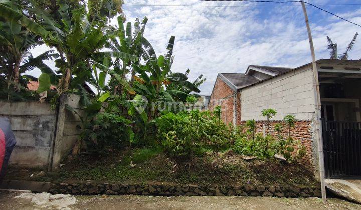 Tanah Akasia Extension Taman Royal, Tangerang, Lt 144m, Hrg 6,5jt Per M 2