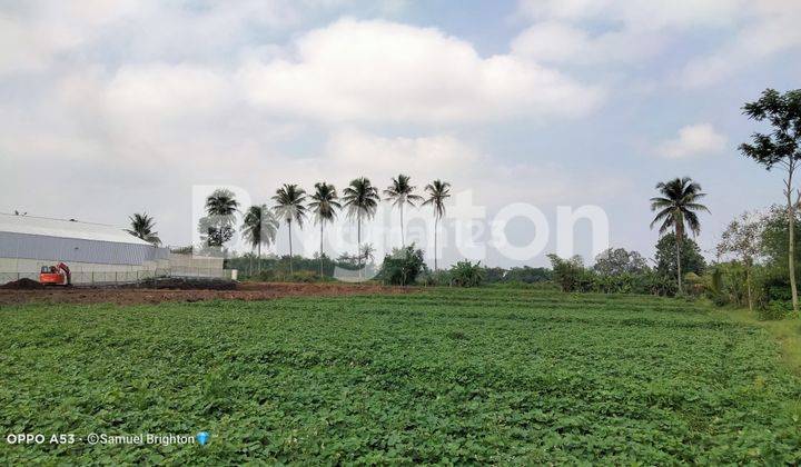 Jual Tanah Murah Dan Luas di Raya Pakis Malang 3