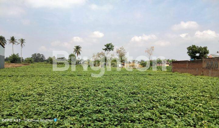 Jual Tanah Murah Dan Luas di Raya Pakis Malang 5