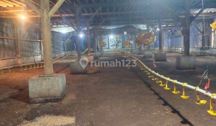 Dijual Kandang Ayam Produktif di Tegalwaru Purwakarta 2