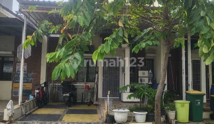 Quick & Cheap Sale: Fully Renovated House - Green Ara Cluster Ebony