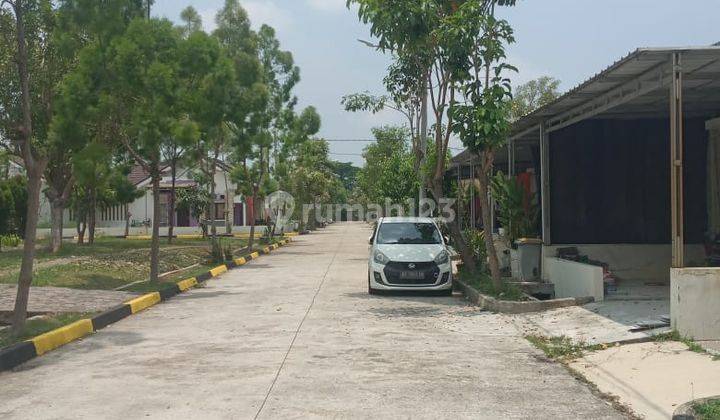 Disewa Murah Rumah Di Segara City Cluster Atlantis Bekasi 2