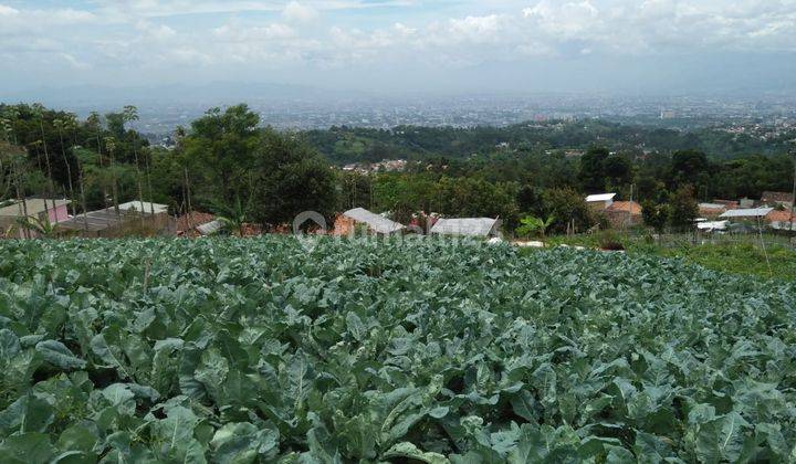 Tanah 982 Meter SHM Bentuk Kotak Punclut Lembang  2