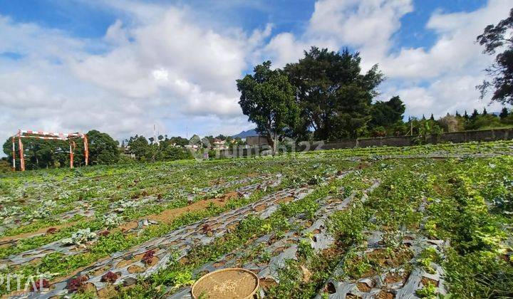 For Sale Tanah Cantik, Siap Bangun Di Sariwangi Udara Sejuk City  1
