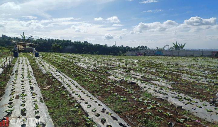 For Sale Tanah Cantik, Siap Bangun Di Sariwangi Udara Sejuk City  2