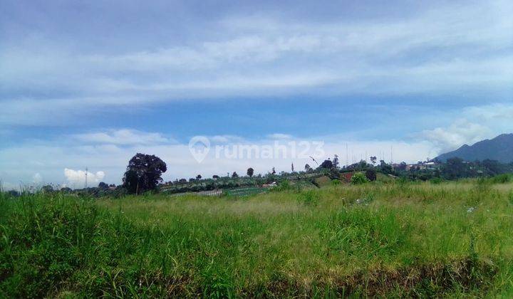 Tanah Cihanjuang Katumiri Cocok Untuk Perumahan Cluster  9