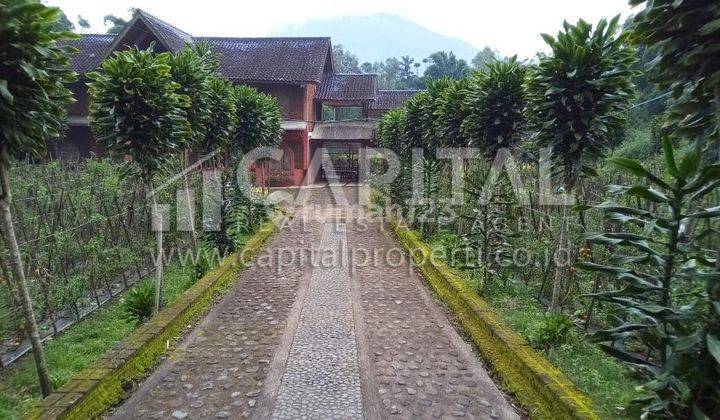 For Sale Rumah Villa Tjantique Kabupaten Garut Jl. Raya Cigedug 9