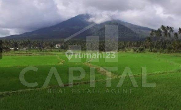 Murah.. Jual Cepat .. Tanah Dengan View Terbaik Gunung Klabat di Desa Pinilih, Dimembe, Sulawesi Utara 1