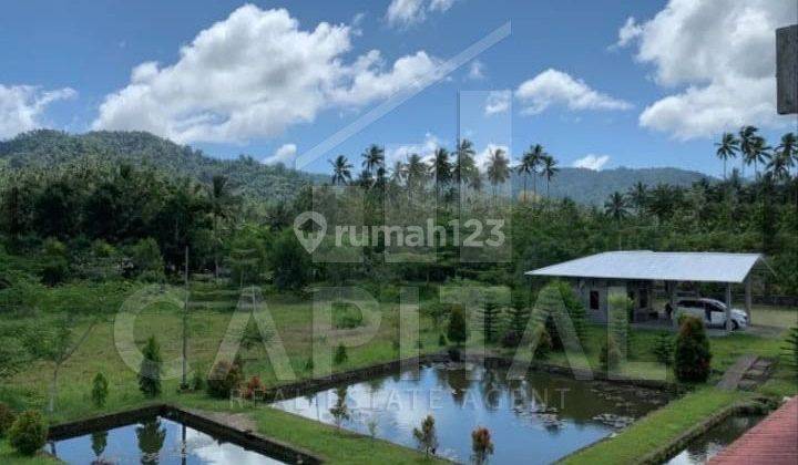 Murah.. Jual Cepat .. Tanah Dengan View Terbaik Gunung Klabat di Desa Pinilih, Dimembe, Sulawesi Utara 5