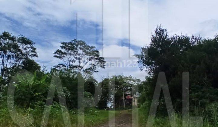 Investasi Yang Pasti Untung Banget Nihh...akses Tronton 40 Feet Batujajar 4