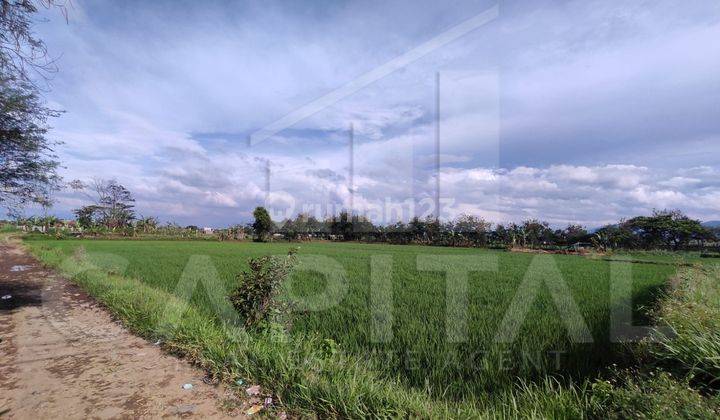Investasi Yang Pasti Untung. Tanah di Gede Bage Sapan, Bandung 2
