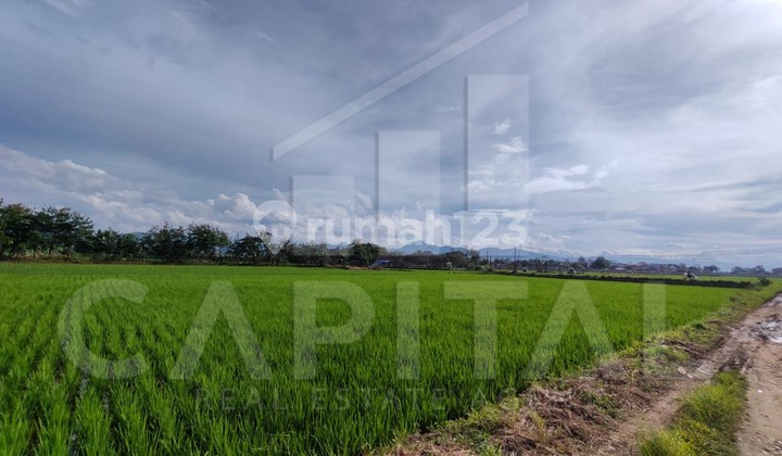 Investasi Yang Pasti Untung. Tanah di Gede Bage Sapan, Bandung 3