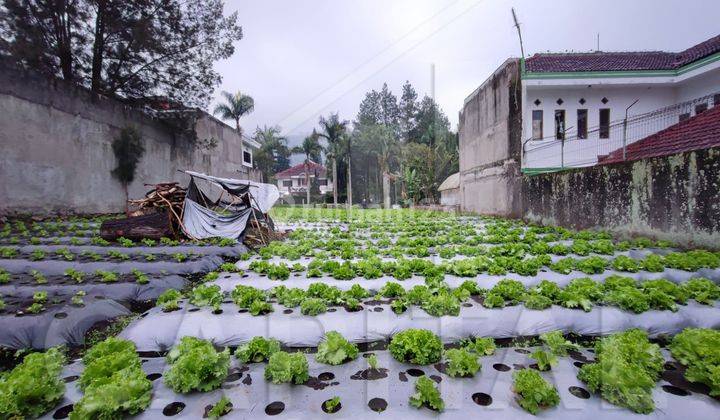 Tanah Strategis Di Panorama Lembang Dekat Berbagai Wisata 2