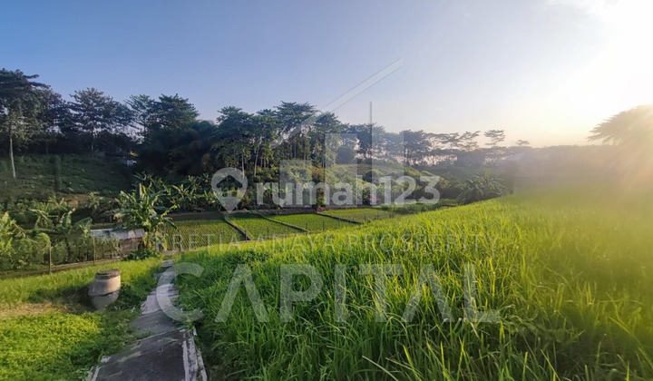 READY-TO-BUILD PLOT in TATAR RATNASASIH, KOTA BARU PARAHYANGAN READY-TO-BUILD PLOT in TATAR RATNASASIH, KOTA BARU PARAHYANGAN
