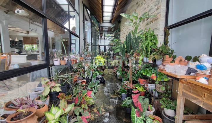 Rumah Lux Balinese Style Di Sayap Dago Ada Swimming Pool 2