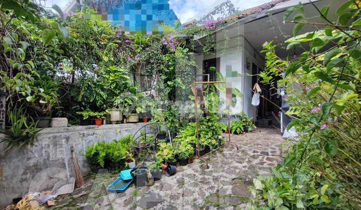 Rumah Tua Hanya Hitung Tanah di Cigadung Mainroad Rumah Tua Hanya Hitung Tanah di Cigadung Mainroad