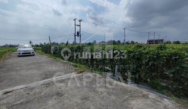 Tanah Strategis Kawasan Pariwisata Di Kedungu, Tabanan – Bali