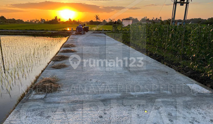 Tanah Premium area Pantai Kedungu Tabanan, Bali