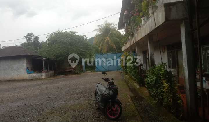 Peternakan Ayam Petelur Siap Usahadi Rumpin Bogor Peternakan Ayam Petelur Siap Usahadi Rumpin Bogor