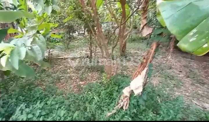 Tanah kavling Siap bangun di desa Dandang Cisauk Tangerang Selatan