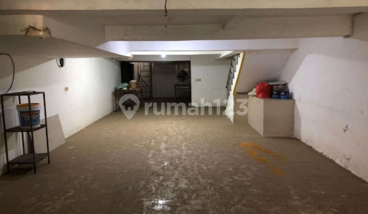 Old House Land Count Cosmos Garden East Facing 2