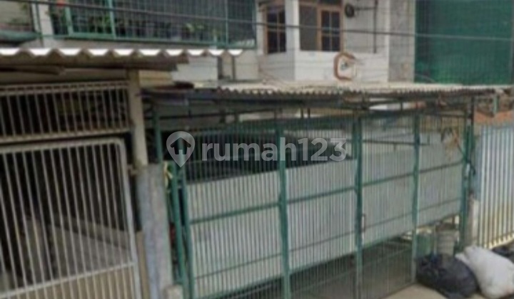 Old House Land Count Cosmos Garden East Facing 1