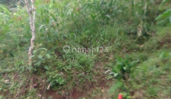 Tanah Dan Kebun Wonosalam  2