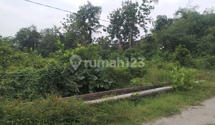 Tanah Pekarangan Jombang