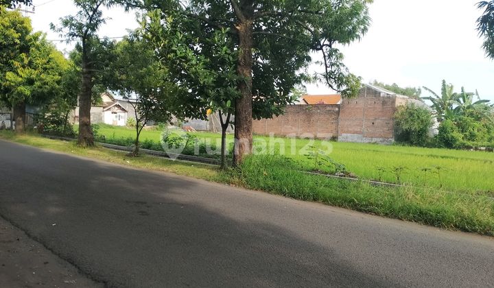 Tanah Nol Jalan Siap Bangun Jombang Tanah Nol Jalan Siap Bangun Jombang