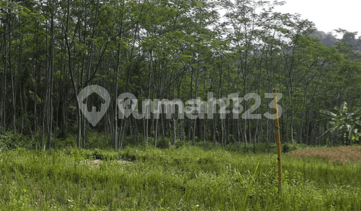 DIJUAL KAVLING STRATEGIS di PADALARANG Kel CITATAH, kec CIPATAT, PADALARANG 1