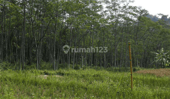 DIJUAL KAVLING STRATEGIS di PADALARANG Kel CITATAH, kec CIPATAT, PADALARANG 2