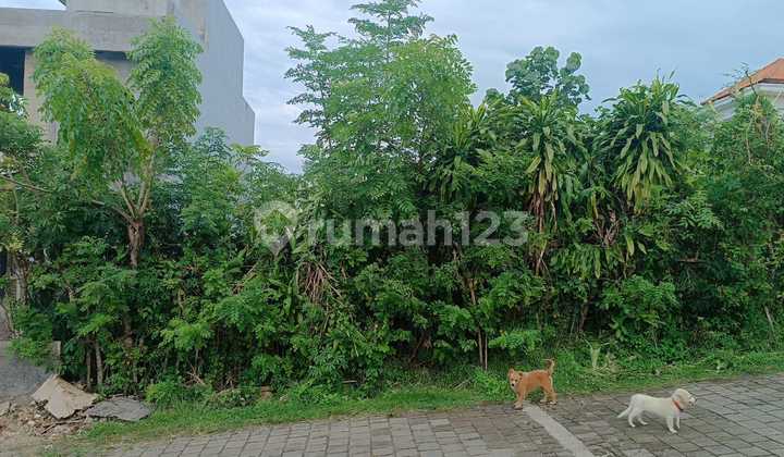 Tanah Premium Luas 2 Are Dekat Pantai Balangan Cn