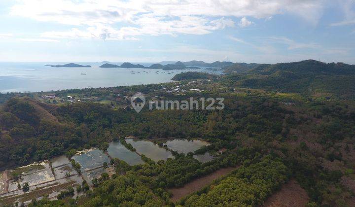 Land For Sale Located at Komodo Labuan Bajo 1