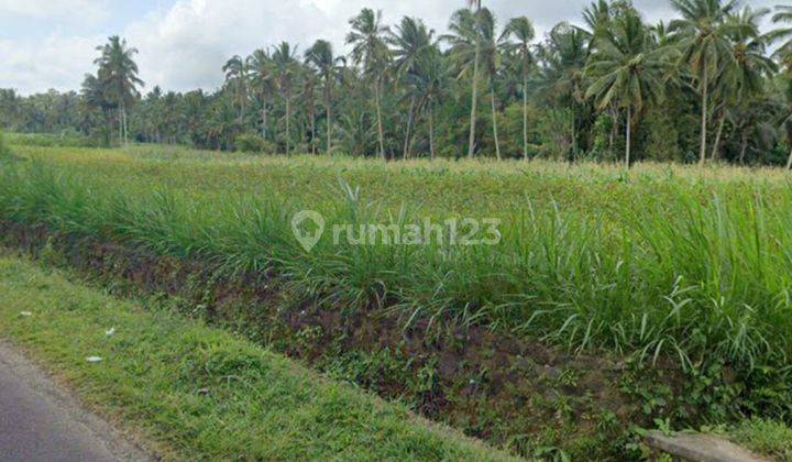 Dijual Tanah View Sawah Lokasi Abiansemal 2