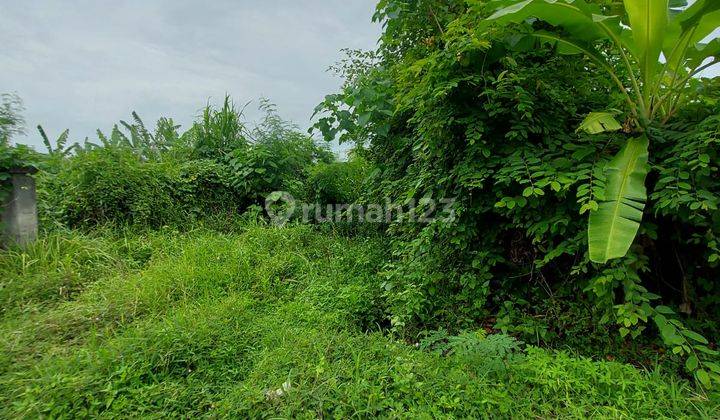 SHM Land for sale 5 Are Location Gianyar 2