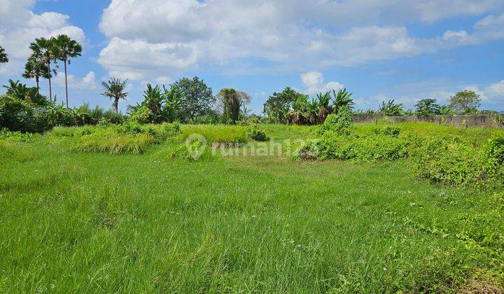 Dijual cepat tanah di kedungu dekat beach love 1