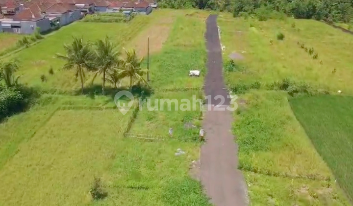 Dijual Tanah Pinggir Sungai di Daerah Wana Sari Tabanan AST