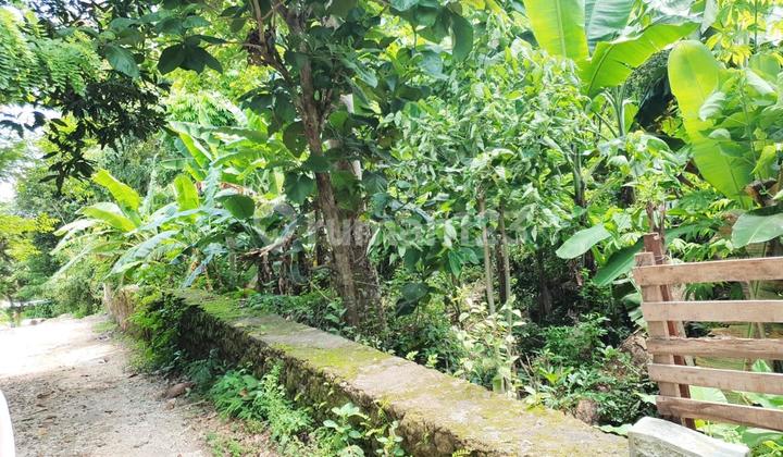 Dijual Tanah 1000 M² Shm Di Ungasan Rc Ls