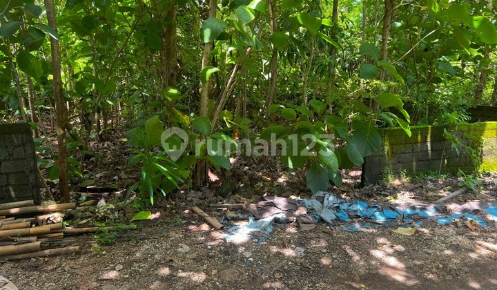 Dijual Tanah Berlokasi di Kutuh Kuta Selatan IPP