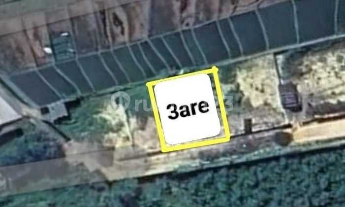 Tanah 3 Are View Sawah di Tumbak Bayuh Ant