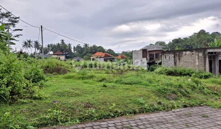 Land 246.0 M² Certificate of Ownership One Gate in Tabanan Dd Land 246.0 M² Certificate of Ownership One Gate in Tabanan Dd