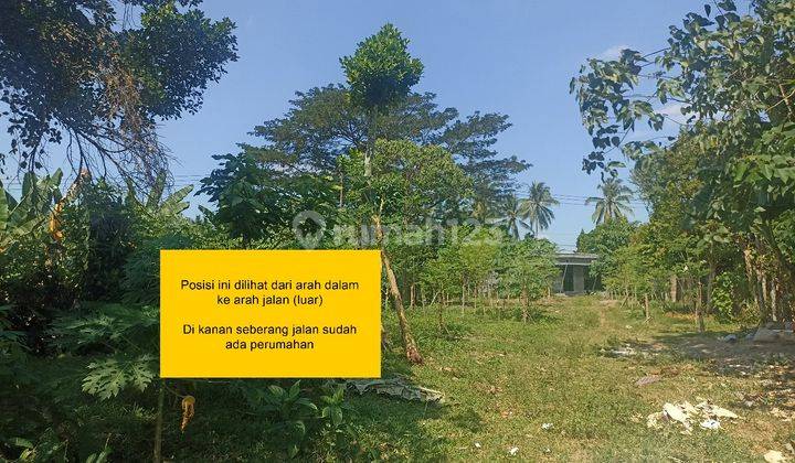 Dijual Tanah Siap Bangun Luas 7.5 Are Di Lombok Dd 2
