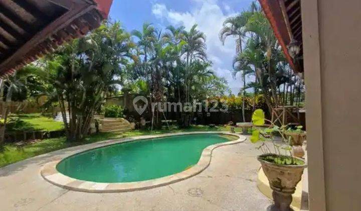 For Sale Villa Besar Dengan View Sawah Jungle Ubud 1